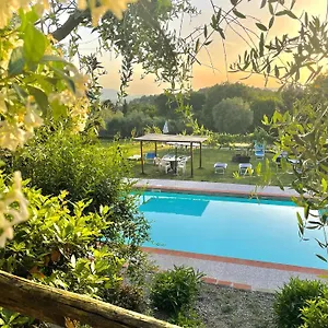 Alloro , Capannori Italie